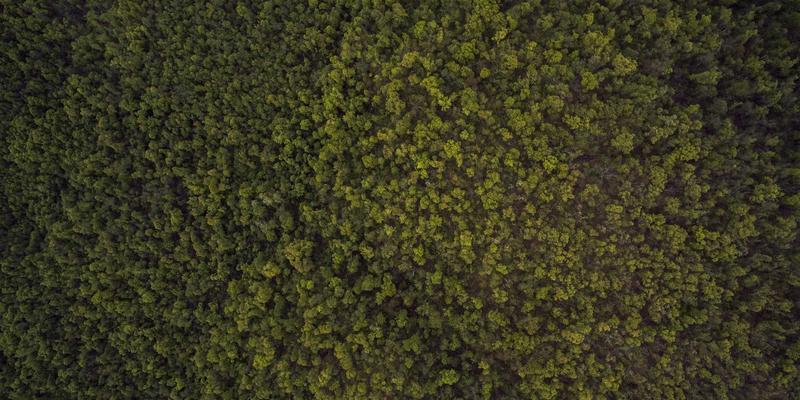 东南亚进口特色调味品图鉴：从泰国冬阴功酱到印尼虾酱的用法与中式融合菜谱