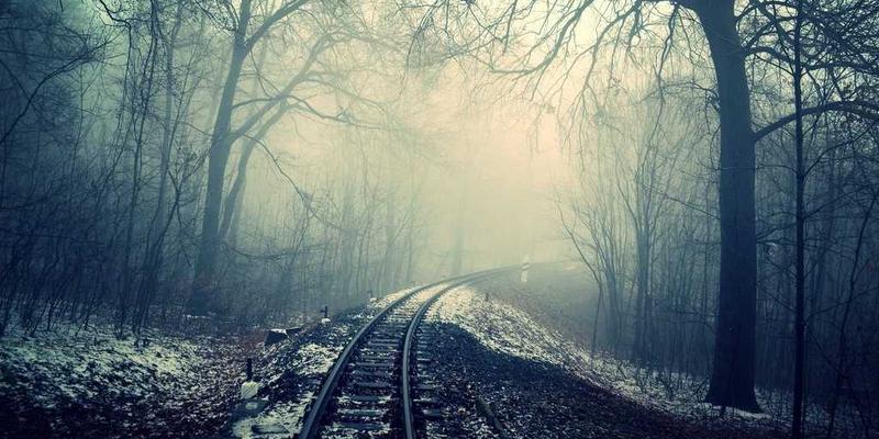 东南亚进口香料图鉴：揭秘异国风味背后的文化与家居烹饪应用