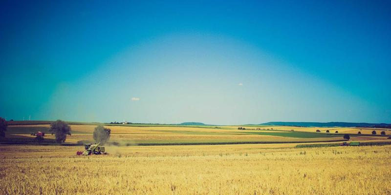 从宜家到&Tradition：北欧进口家具如何以简约设计征服中国家庭，看跨境电商新趋势