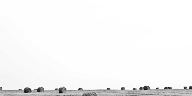 从海外直邮到餐桌：跨境电商如何重塑日本进口食品的匠心体验