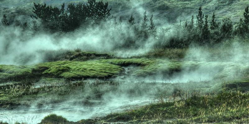拉美进口咖啡豆完全指南：从产区风味到烘焙程度，打造您的进口家居咖啡角
