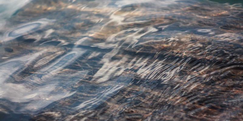 文菲商店海外直邮：挪威与智利进口三文鱼深度对比，揭秘冷链物流与食用安全