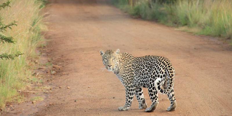海外直邮英国精酿啤酒：跨境电商选购指南与进阶配餐艺术