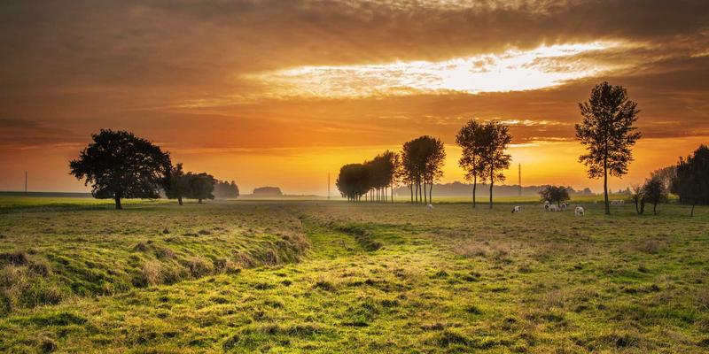 海外直邮进口户外装备科技解析：挪威与加拿大品牌如何以尖端科技应对极端气候