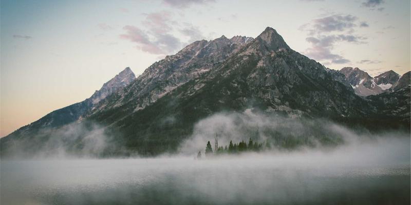 跨境电商时代，进口有机奶粉选购全攻略：从配方到认证，教你辨别真伪与品质
