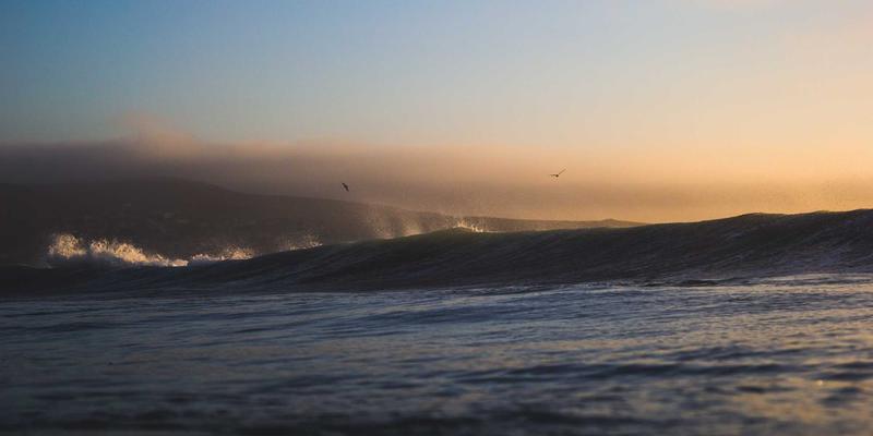 进口保健品如何在中国市场破局？从进口美妆到文菲商店的营销启示