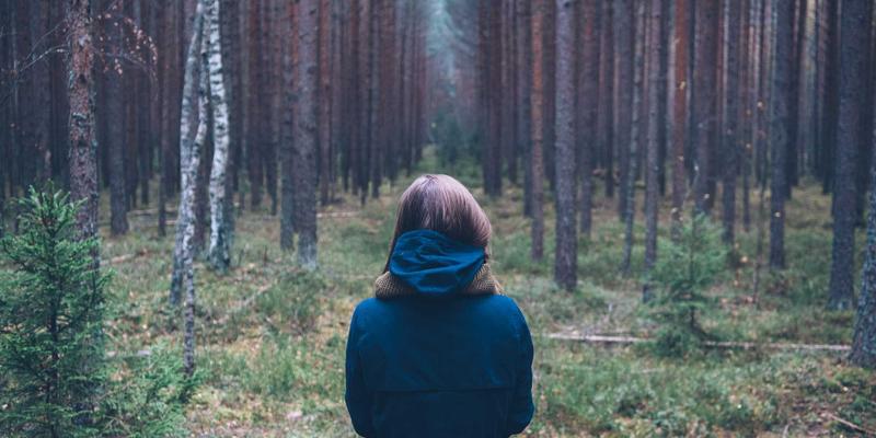 进口商品78：解码进口家居与美妆的消费新趋势