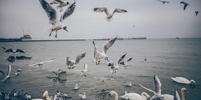 进口商品81时代：跨境电商新趋势与文菲商店的消费升级实践