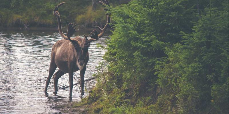 进口商品89：解码进口家居、跨境电商与进口食品的消费新浪潮