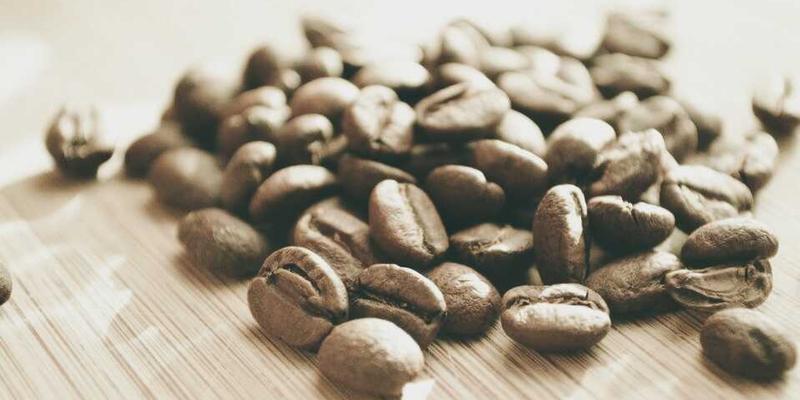 进口宠物主食选购避坑指南：如何解读欧洲、北美宠粮配方与监管标准