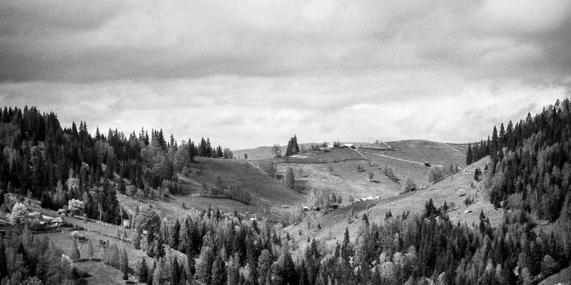 进口家居新宠：跨境电商选购澳洲保健品全攻略，从Swisse到Blackmores的真伪辨别与科学服用指南