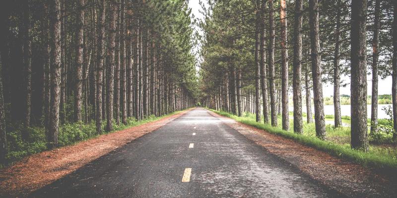 进口美妆与保健品新赛道：文菲商店揭示跨境电商如何以临床数据与剂型创新破局澳洲保健品同质化竞争