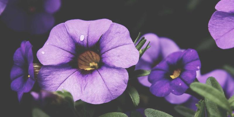 进口美妆新浪潮:海外直邮与跨境电商如何重塑你的美丽消费