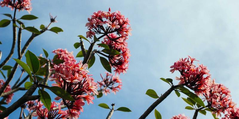 进口美妆新浪潮：跨境电商与海外直邮如何重塑你的美丽消费